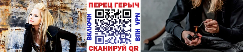 ГЕРОИН хмурый  Кстово 