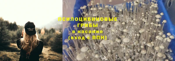 прущие грибы Куйбышев