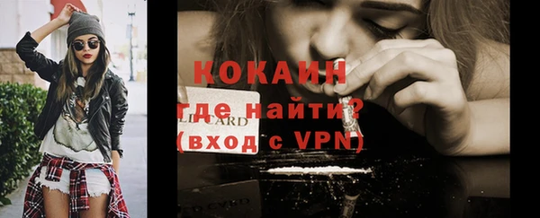 прущие грибы Куйбышев