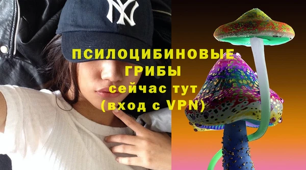 ПСИЛОЦИБИНОВЫЕ ГРИБЫ Краснослободск