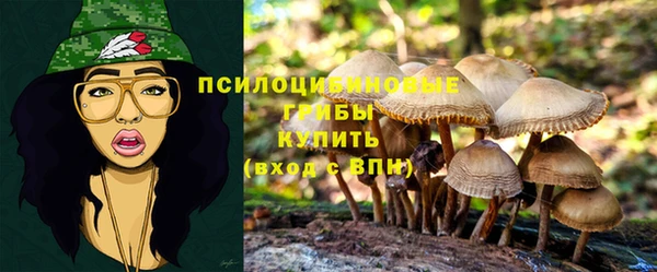 марки lsd Краснотурьинск