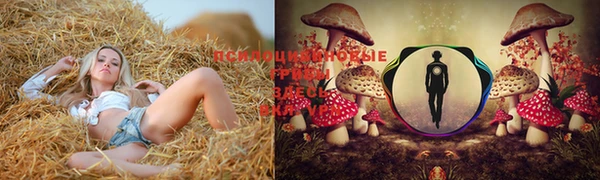 марки lsd Краснотурьинск