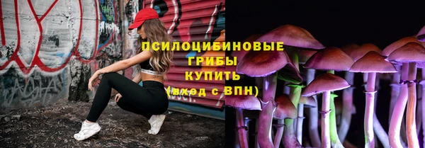ПСИЛОЦИБИНОВЫЕ ГРИБЫ Краснослободск