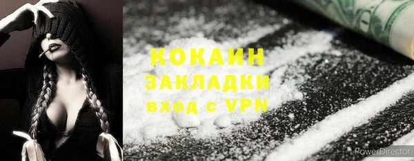 прущие грибы Куйбышев