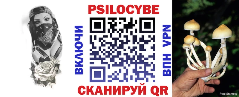 где можно купить Кстово Галлюциногенные грибы Psilocybe