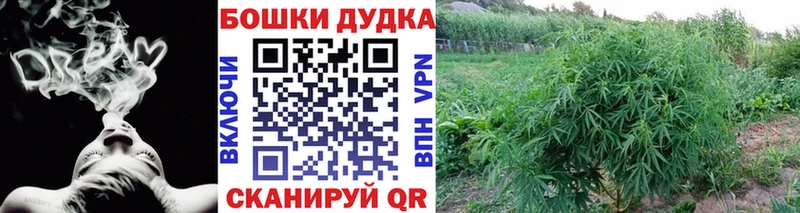 Конопля Bruce Banner  купить  сайты  Кстово 